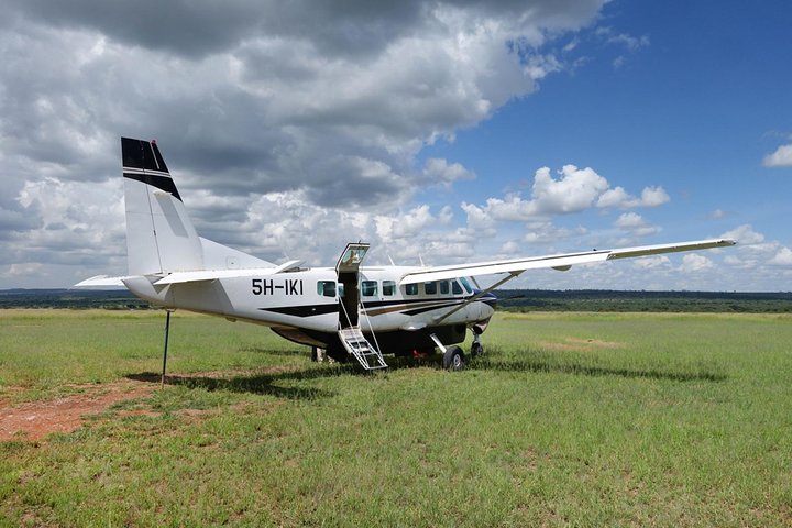 Image number 3 for Flying In Safari 