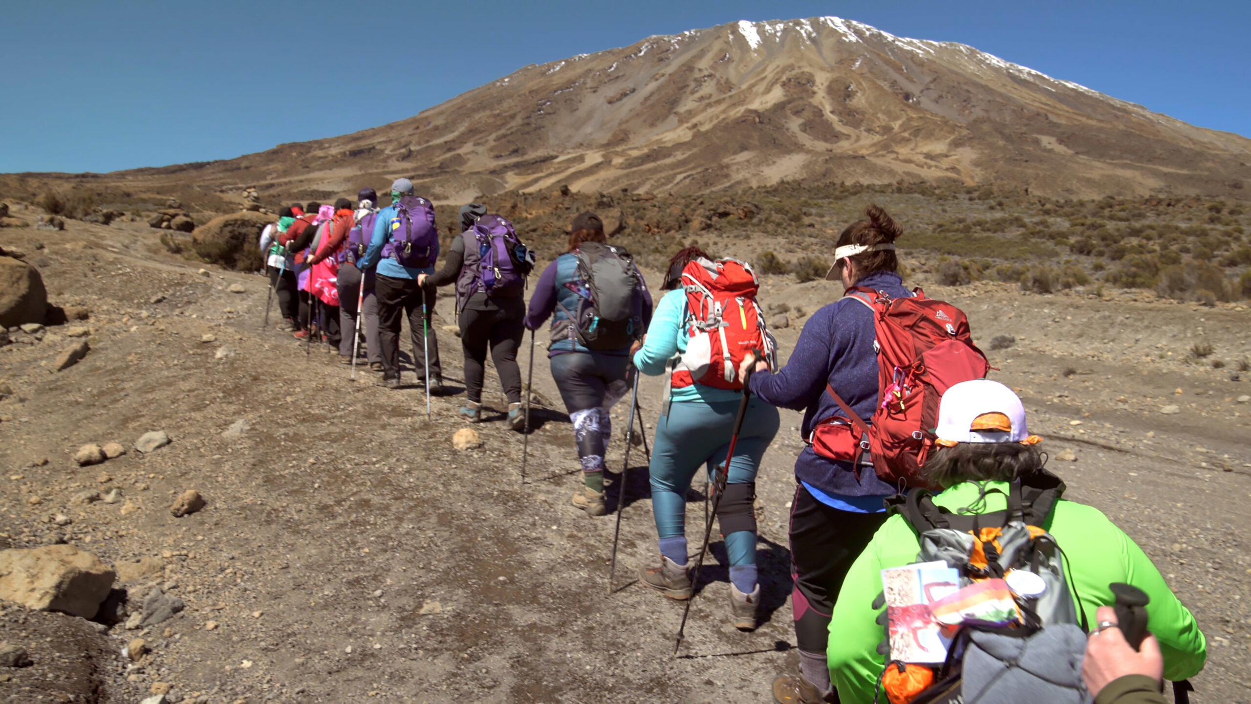 Image number 3 for 8 Days Lemosho Route Trekking Itinerary