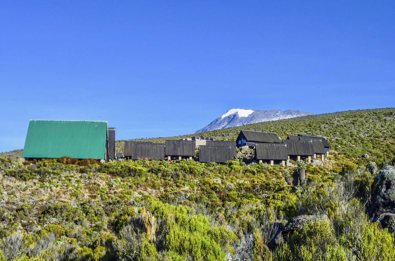 Image number 1 for  5 Days Kilimanjaro Marangu Route