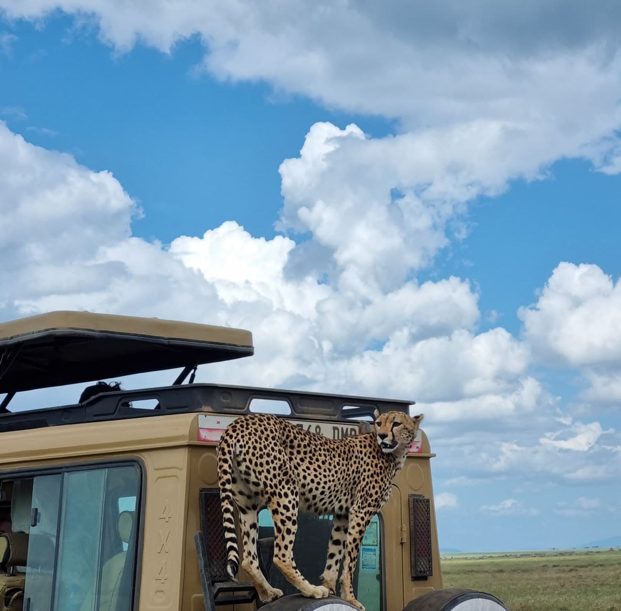 Image number 1 for 3 Days Tarangire, Manyara And Ngorongoro Crater 