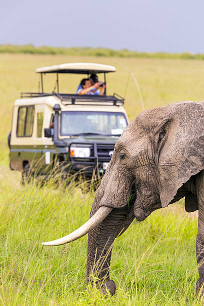 Image number 1 for 6-days Adventure:tarangire,ngorongoro & Serengeti