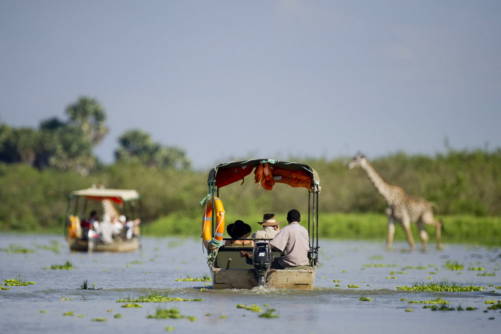 Image number 19 for Nyerere National Park