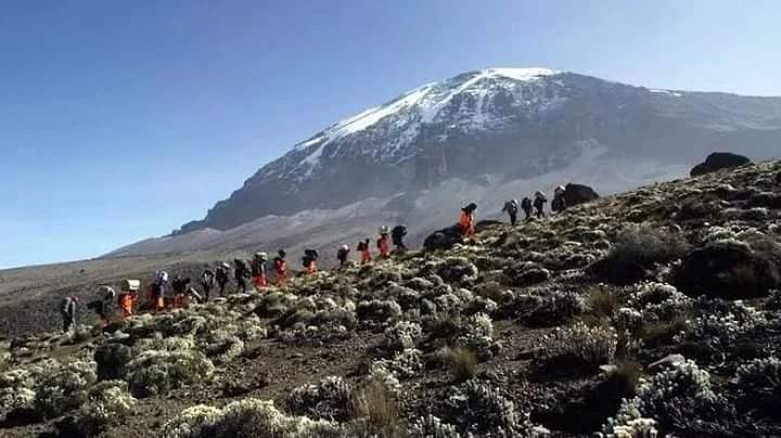 Image number 3 for Day Trip Trekking Kilimanjaro