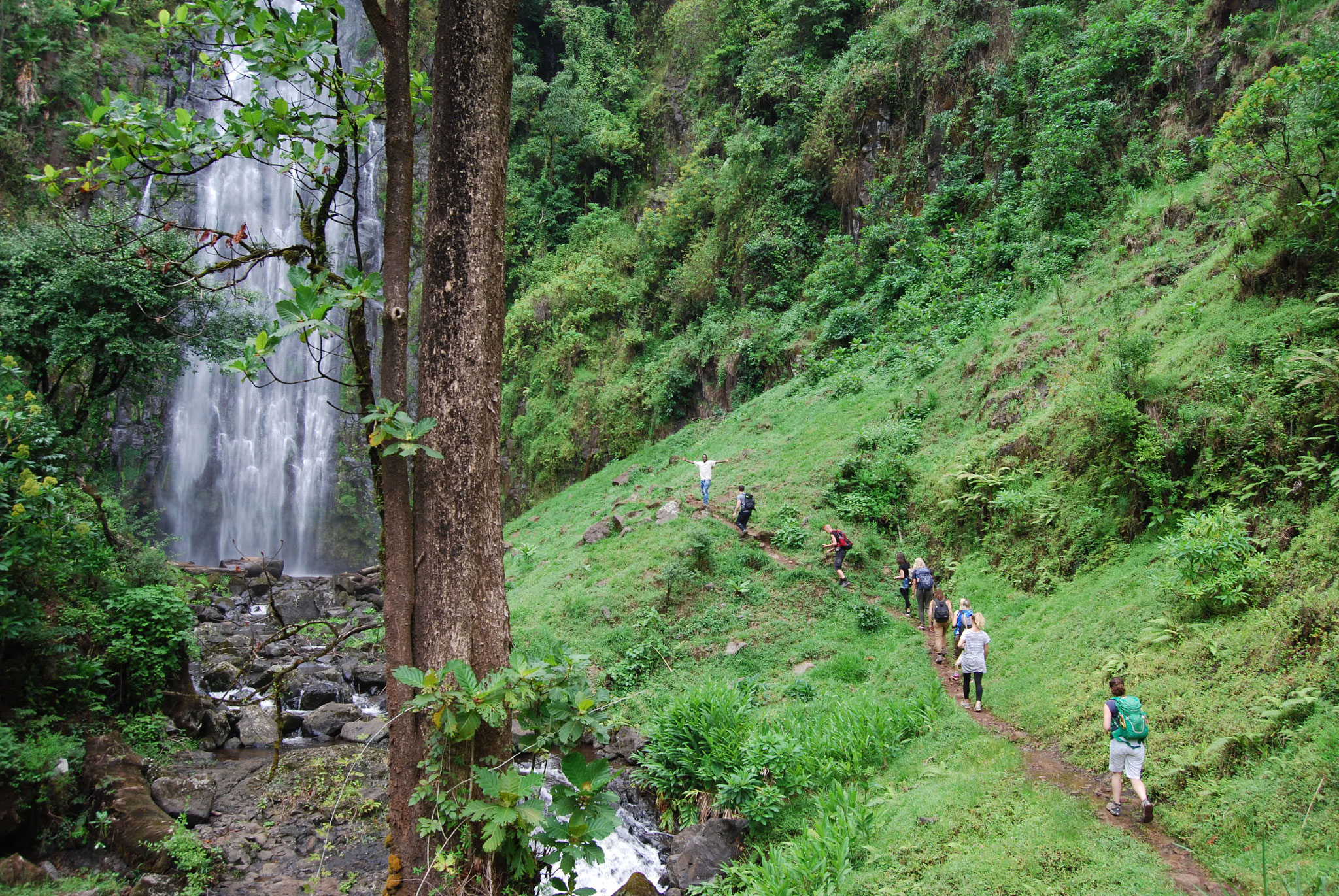 Image number 3 for Materuni Waterfalls Day Trip