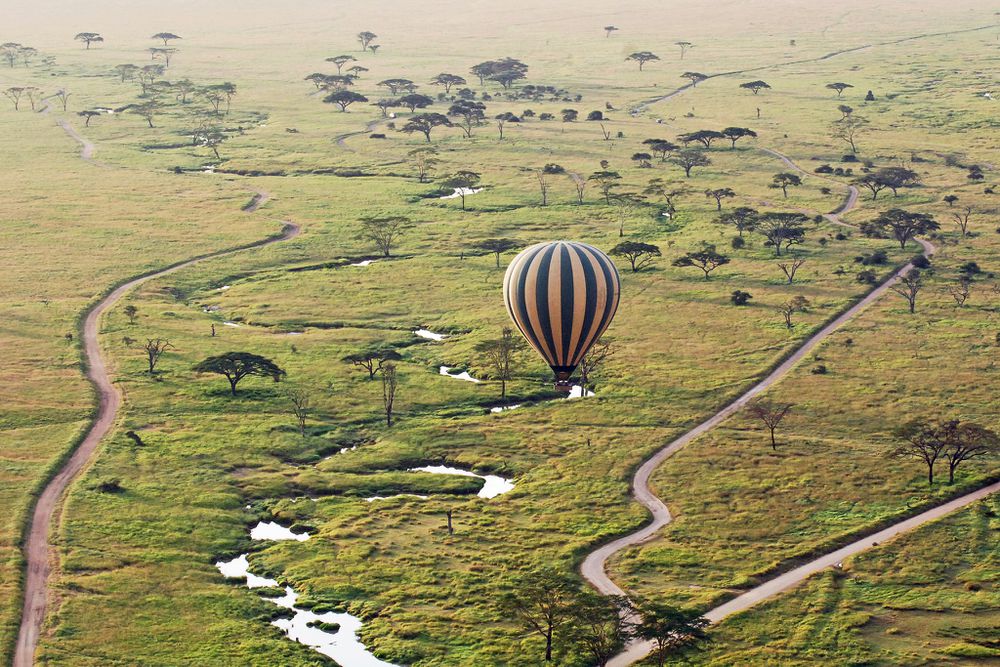 Image number 1 for Tarangire , Serengeti And Ngorongoro