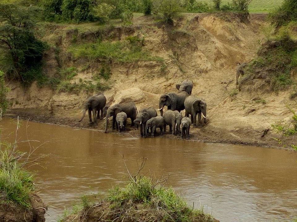 Image number 6 for 7 Days Kenya Budget Safari