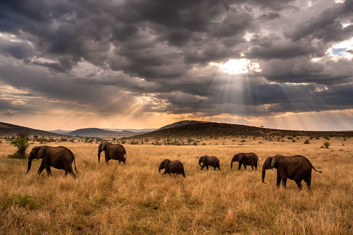 Image number 4 for  Mikumi &udzungwa Mountain Safari