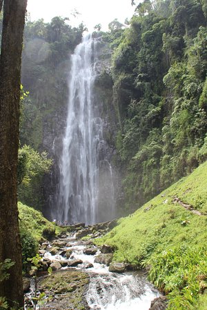 Image number 3 for Come For Coffee & Materuni Waterfall Adventure