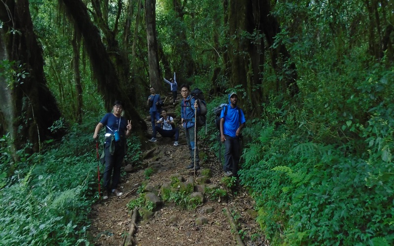 Image number 5 for 7 Days Machame Route Kilimanjaro Climbing 