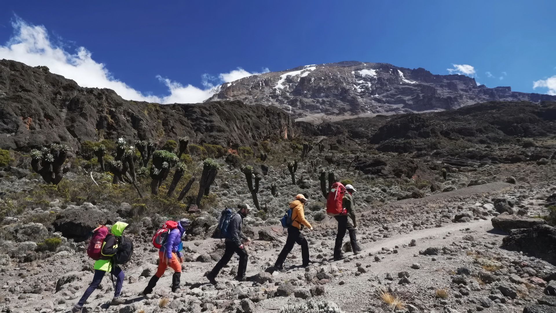 Image number 1 for Kilimanjaro Trek Lemosho Route 8day Trek 10daytour