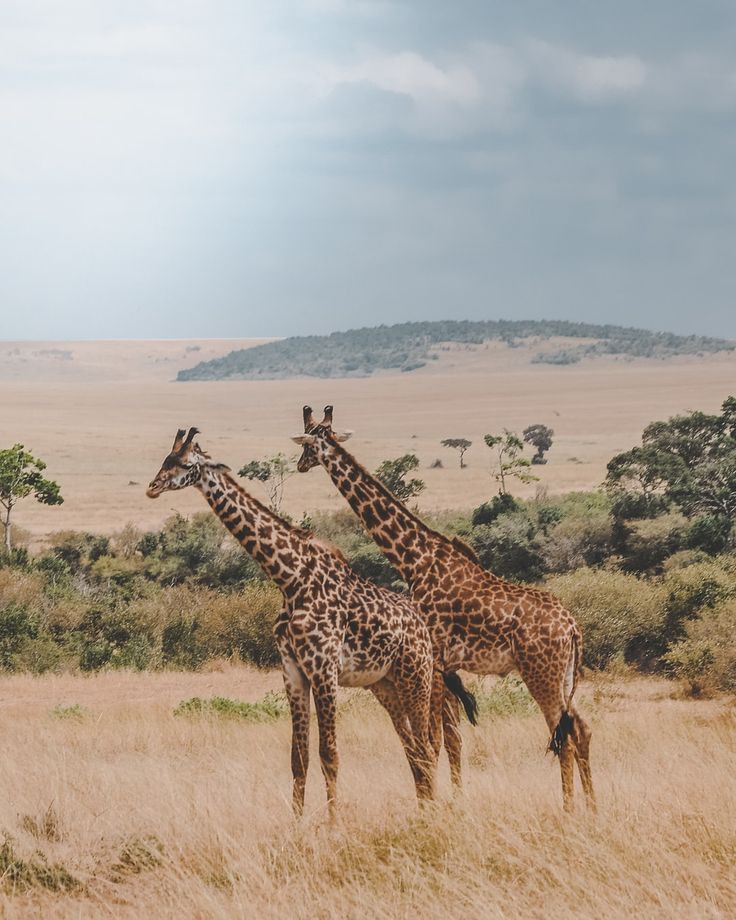 Image number 1 for Ruaha Adventure Tour