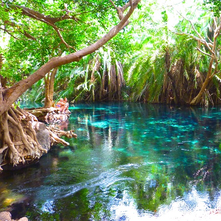 Image number 5 for 1-day Trip To Chemka Hotspring