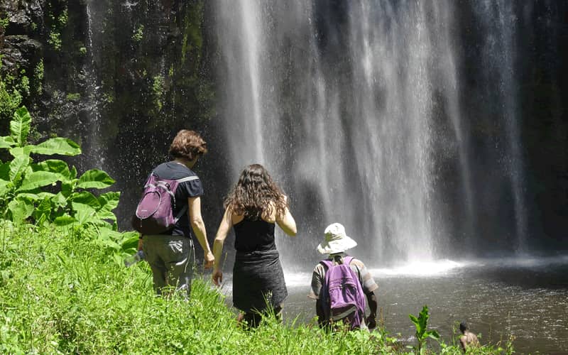 Image number 1 for Materuni Waterfalls And Coffee Day Trip