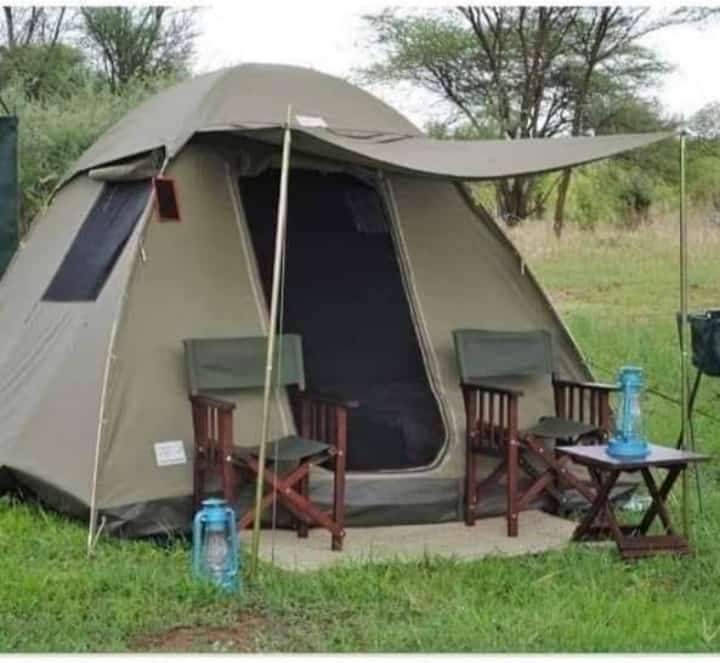 Image number 16 for  Ngorongoro And Serengeti Camping Tour