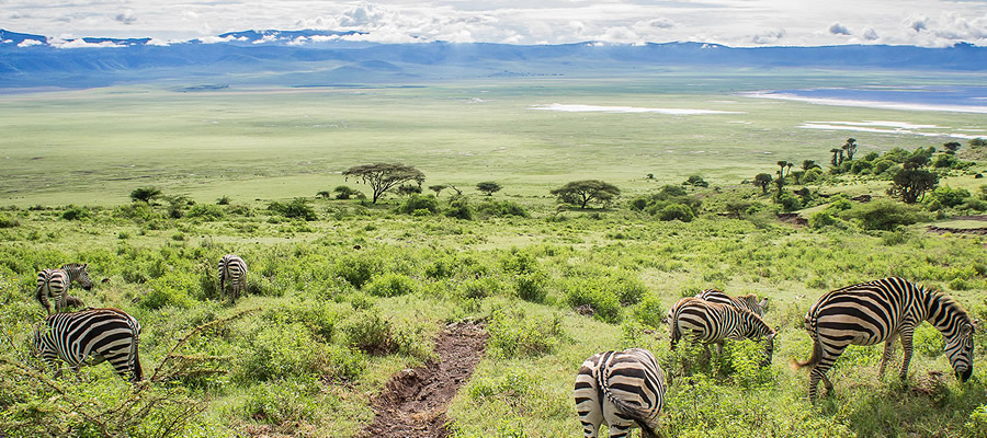 Image number 1 for 2-days Tanzania Wonderful Safari