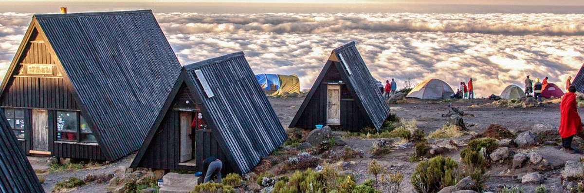 Image number 5 for Trek Marangu Route 5day Trek 7day Tour