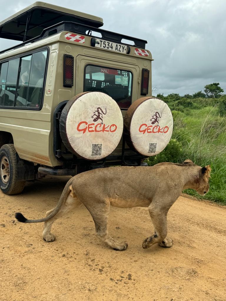 Image number 1 for Safari To Mikumi National Park