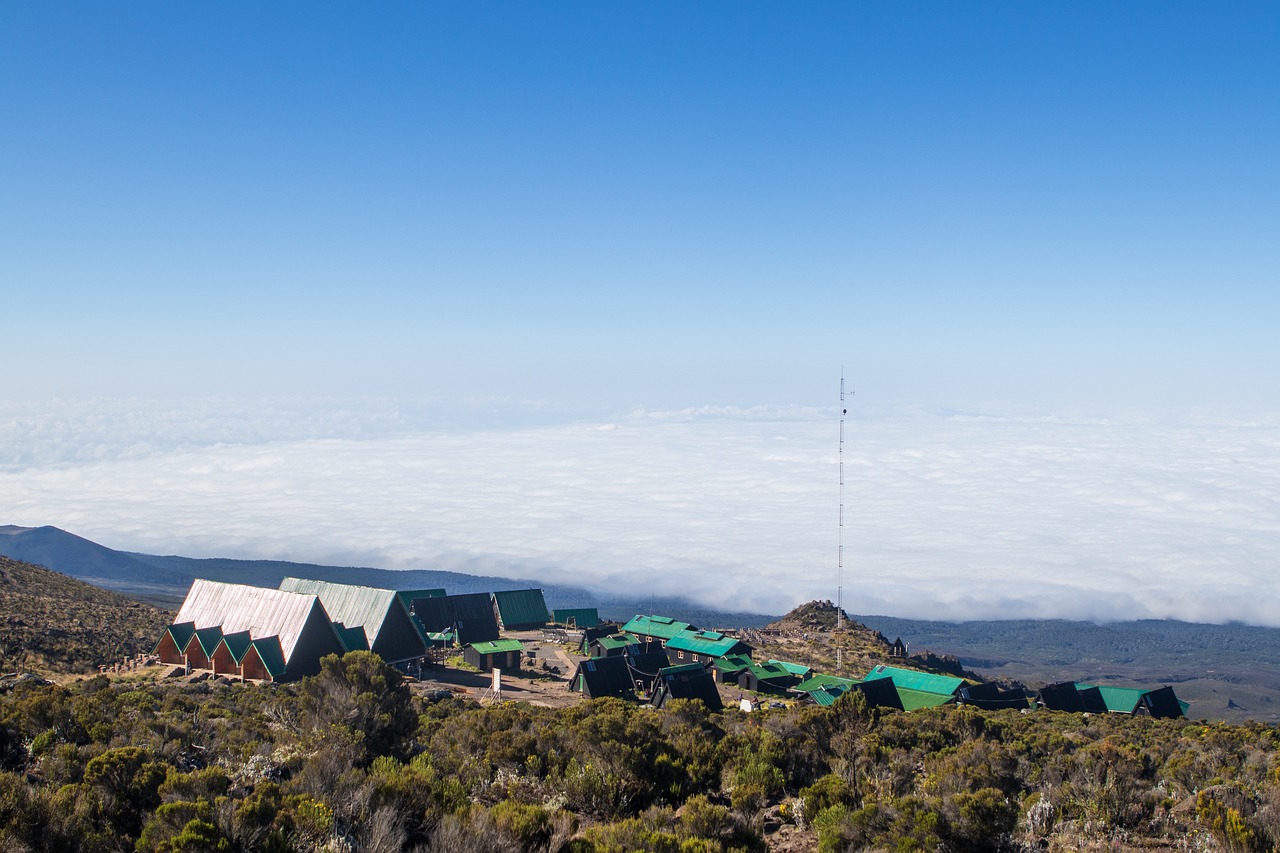 Image number 29 for Mt. Kilimanjaro Hiking Via Marangu Route 