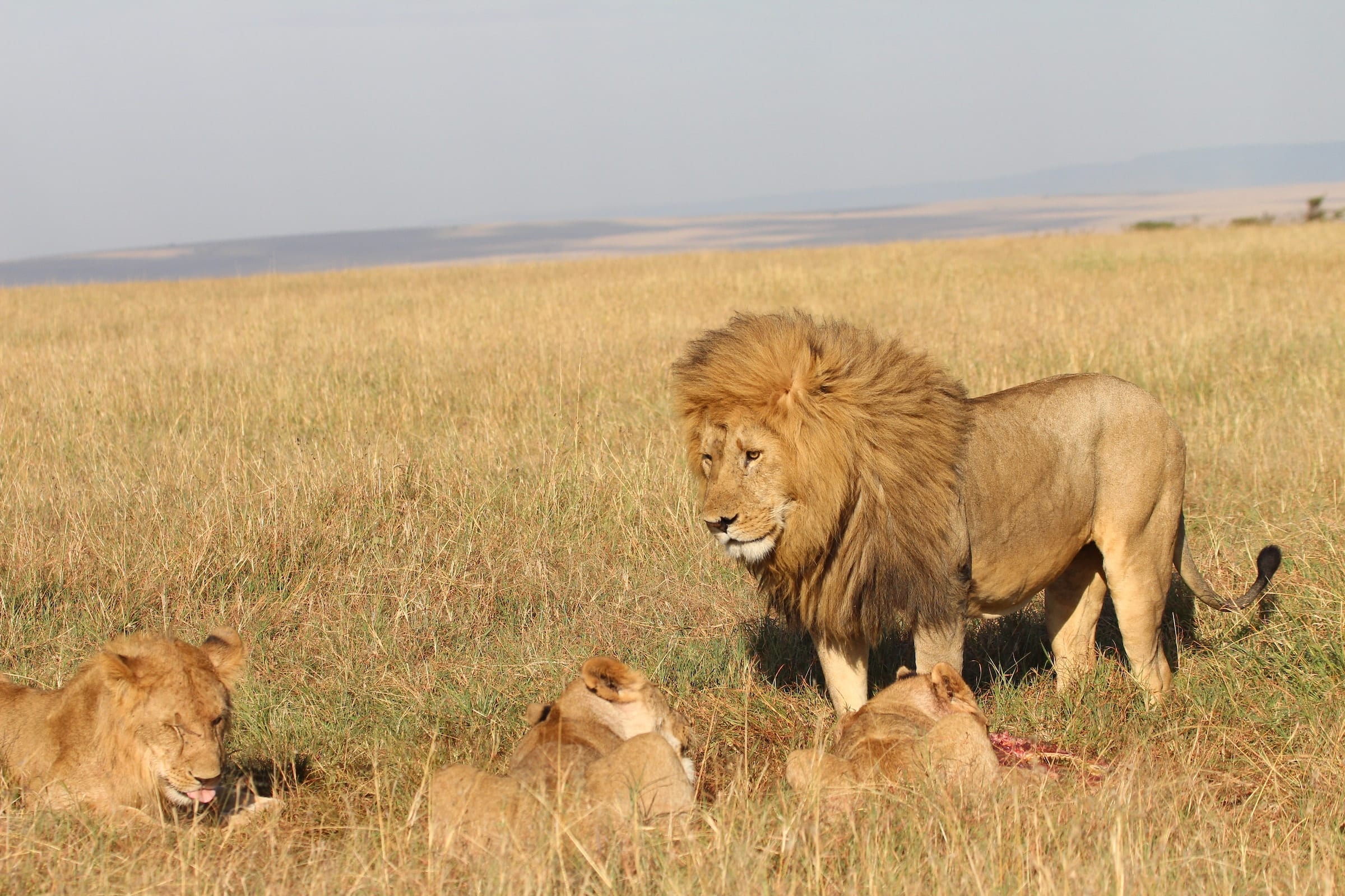 Image number 7 for Explore Buffalo Springs, Samburu & Ol Pejeta Tour