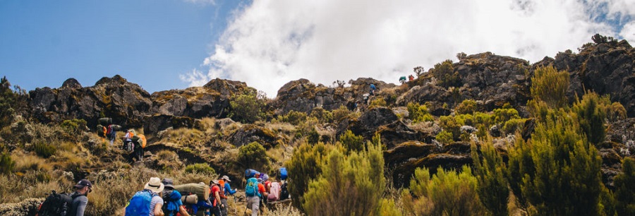 Image number 5 for Kilimanjaro Trek Lemosho Route 7day Trek 9day Tour