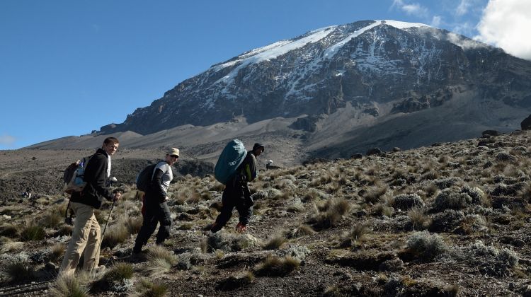 Image number 3 for 7 Days Machame Route Kilimanjaro 