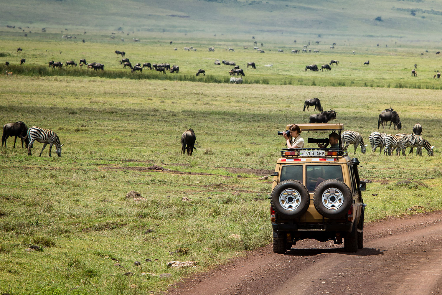 Image number 6 for 2-days Tanzania Wonderful Safari