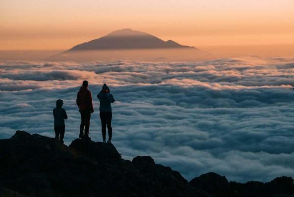 Image number 3 for 5 Days Marangu Route