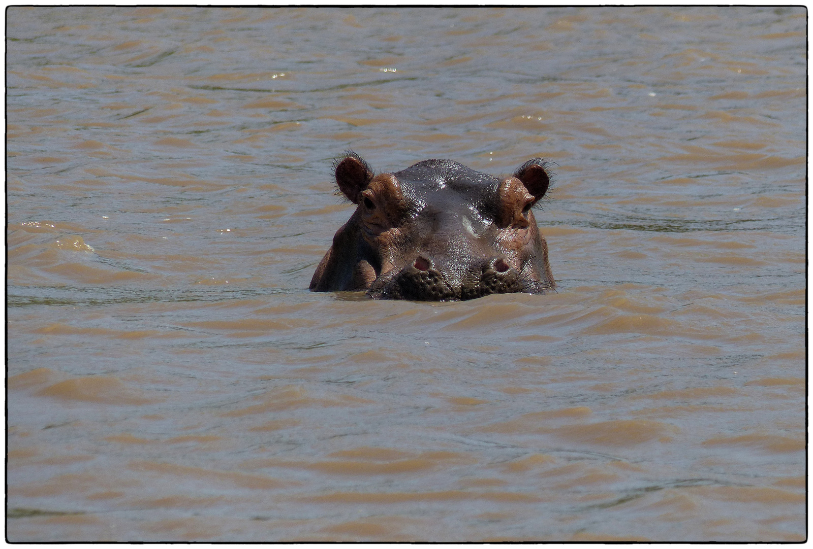 Image number 1 for 5 Days Serengeti Hot Air Balloon Safari