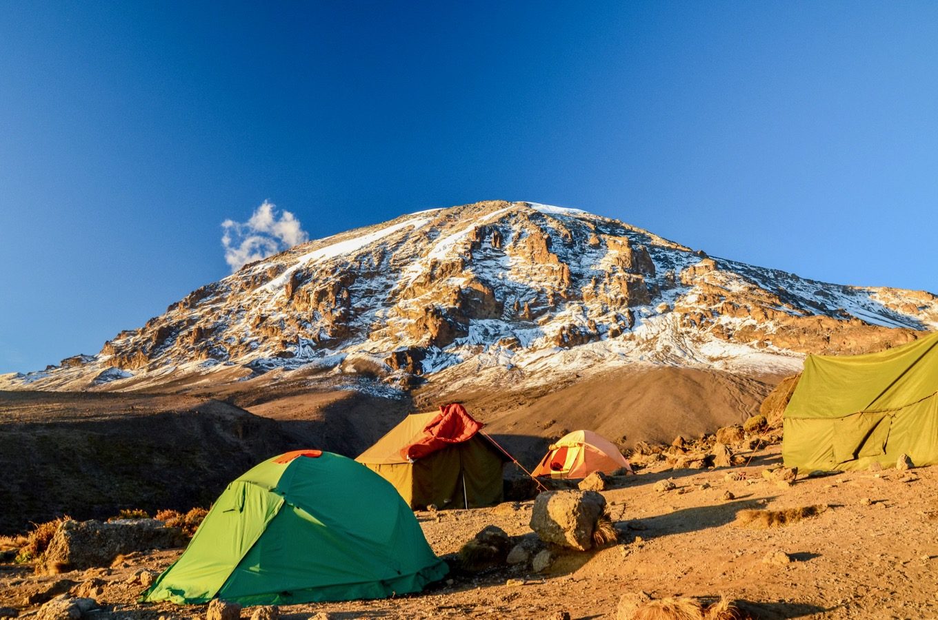 Image number 6 for Trek Marangu Route 5day Trek 7day Tour