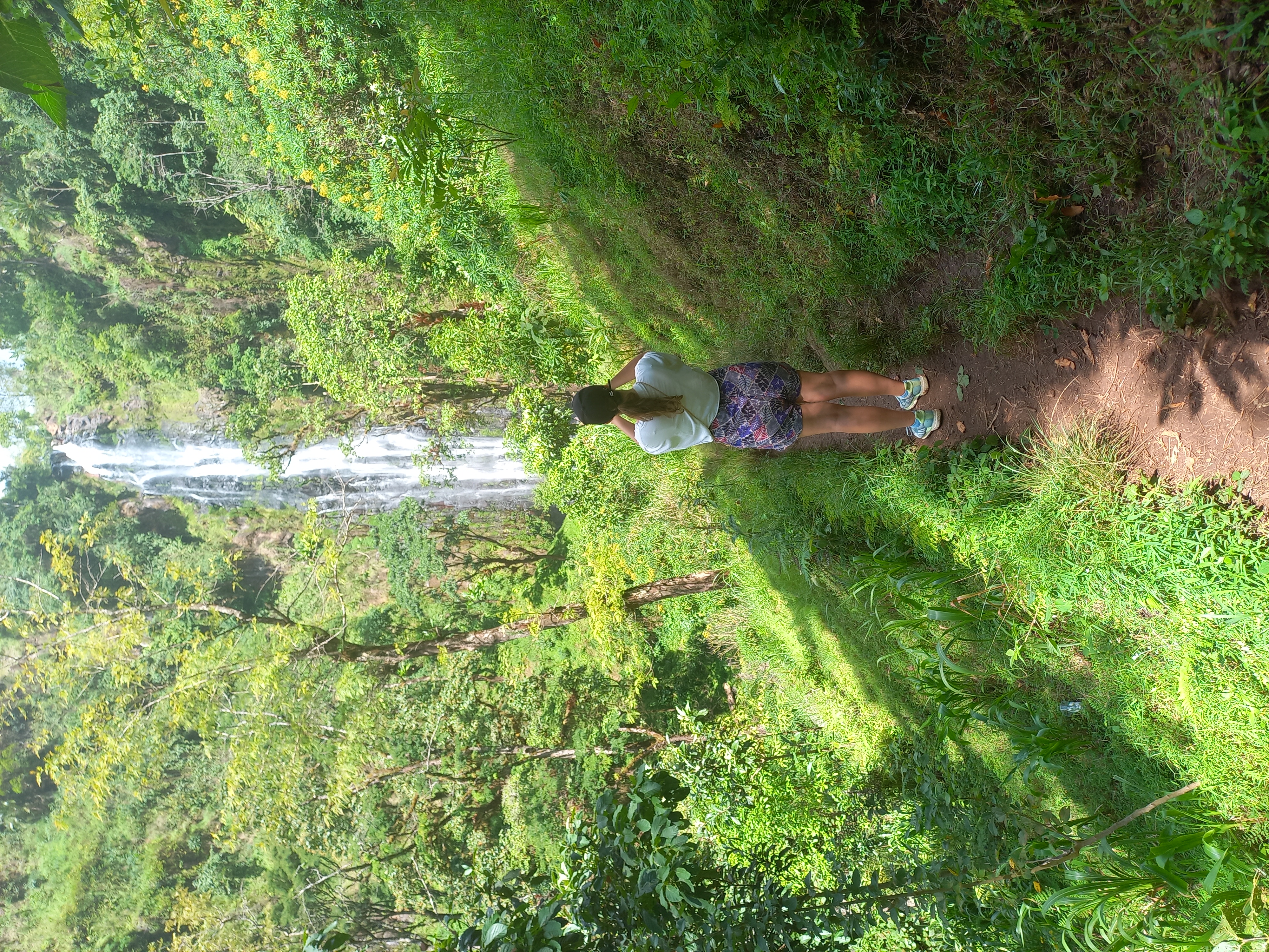 Image number 7 for Marangu Waterfall Trip In Tanzania