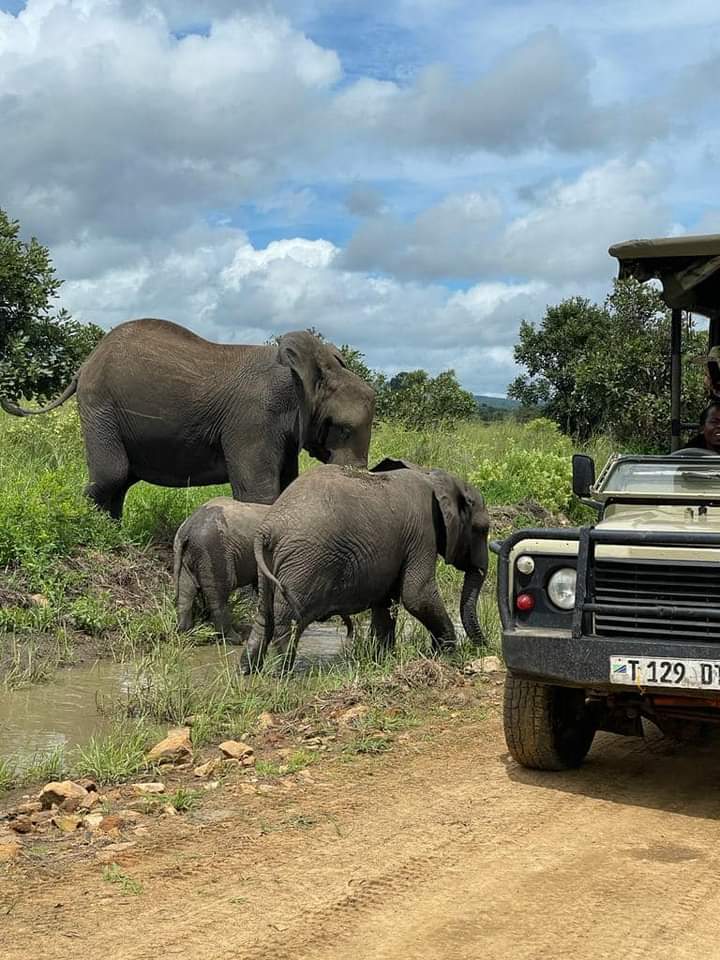 Image number 1 for 2 Days Mikumi Safari From Dar Es Salaam