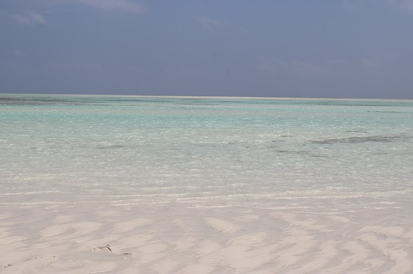 Image number 2 for 5 Days Zanzibar Safari Tour Package.