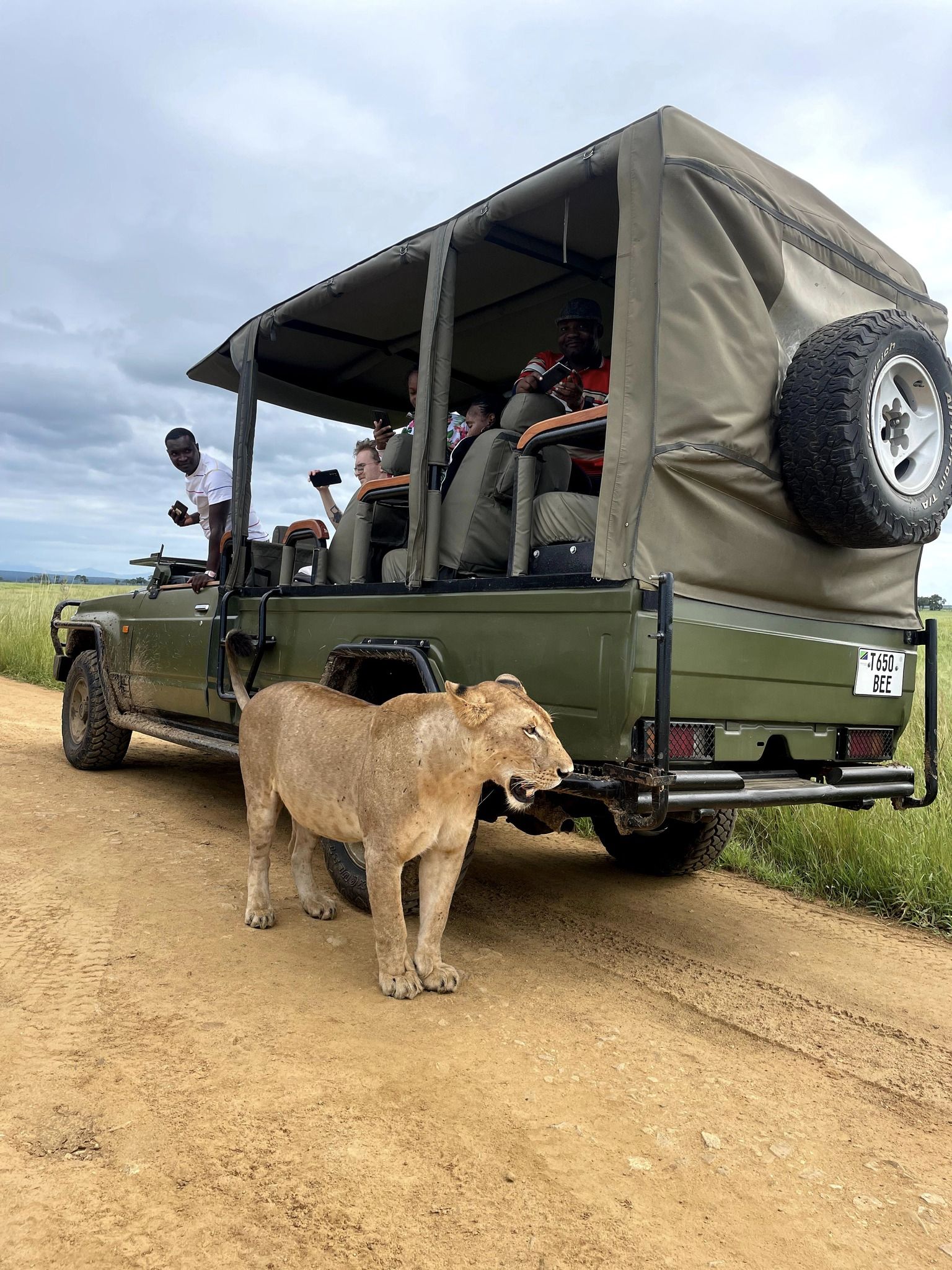 Image number 19 for  8 Days Tanzania’s Serengeti And Katavi