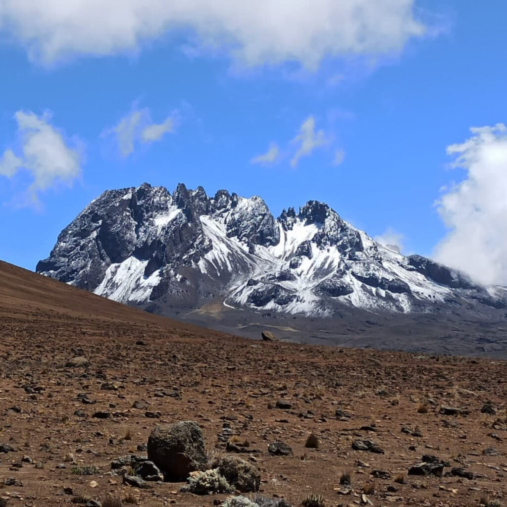 Image number 5 for Kilimanjaro Trek  Umbwe Route 6-day Trek 8day Tour