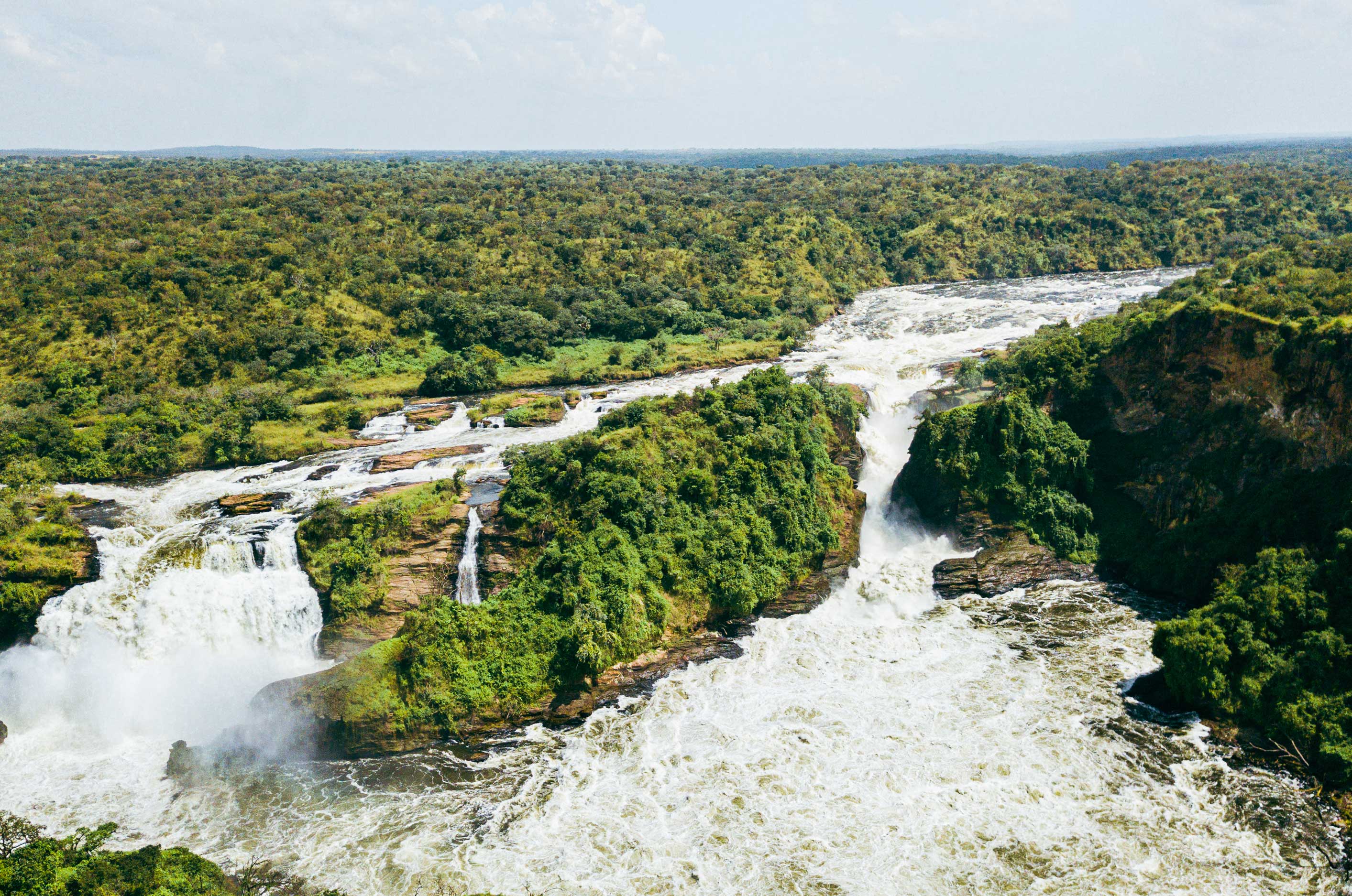 Image number 2 for 3 Day Murchison Falls Safari Uganda