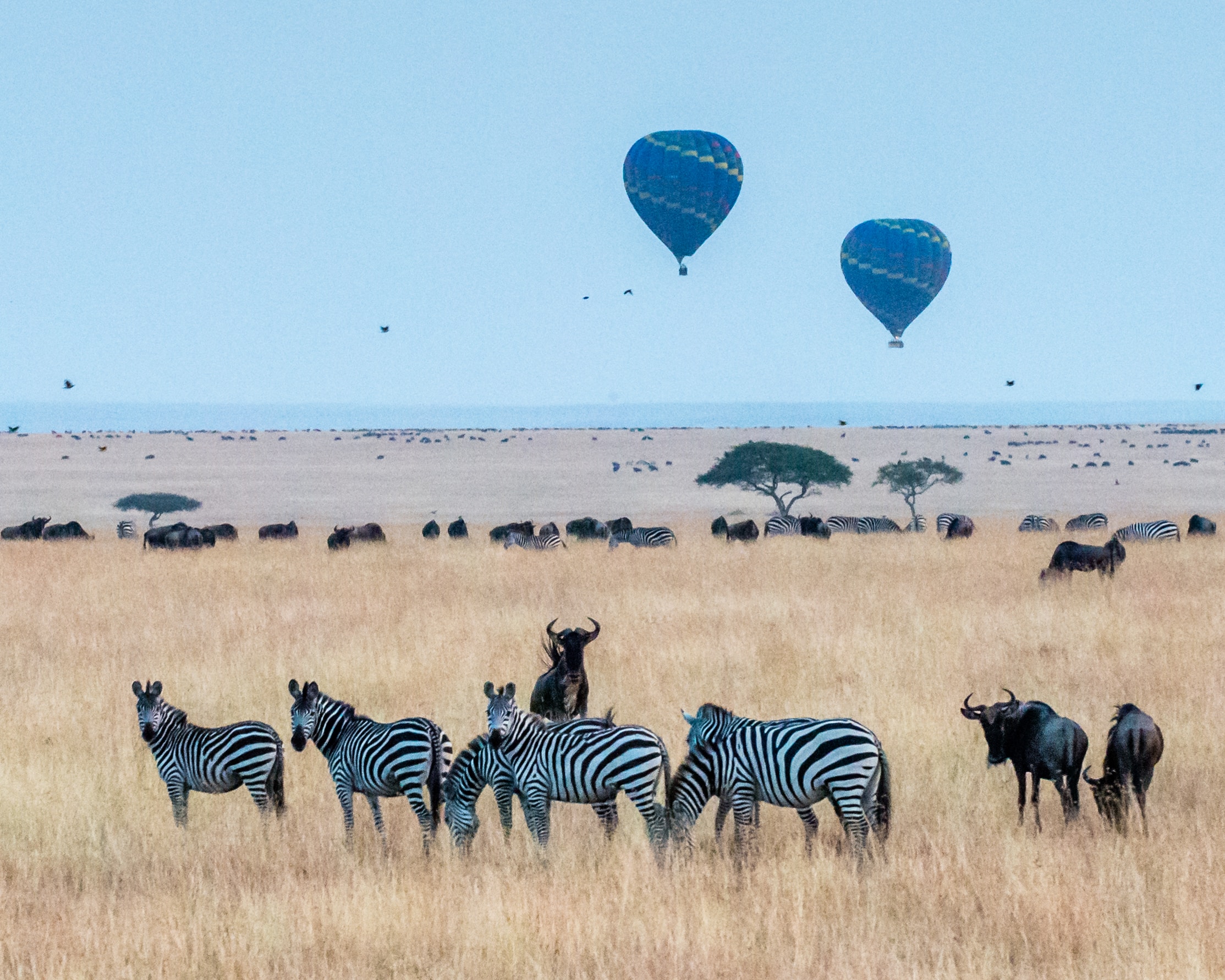 Image number 1 for 4 Days Tanzania Luxury Safari Tarangire,