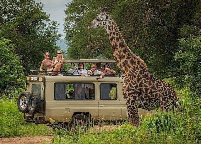 Image number 6 for The Ultimate 6-day Safari: Aberdares To Masai Mara