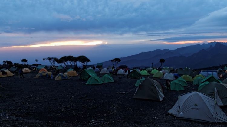 Image number 7 for  6 Days Machame Route Kilimanjaro 