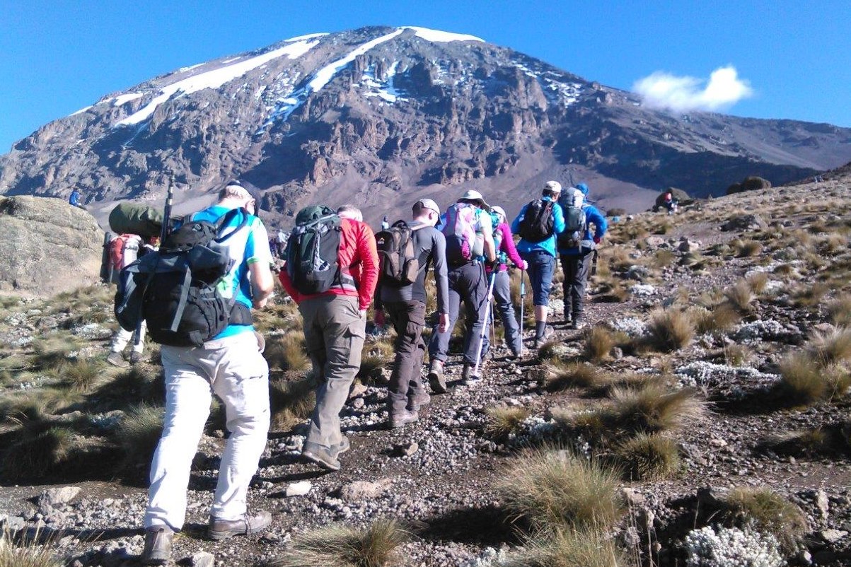 Image number 2 for Mount Kilimanjaro Via Lemosho Route