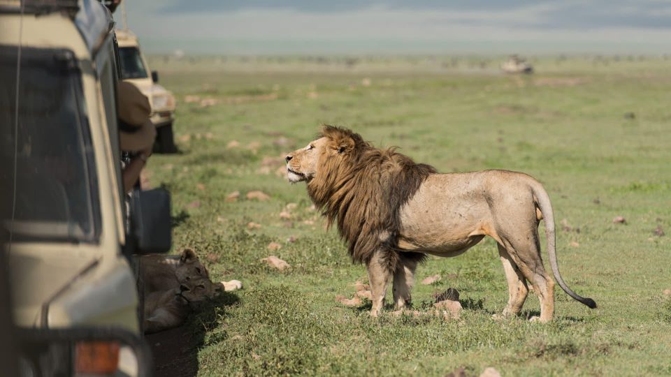 Image number 7 for Majestic Masai Mara: 4-day Big Five Safari 