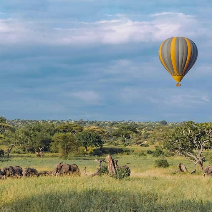 Image number 12 for 6-day Mt Kilimanjaro Amboseli, Nakuru & Masai Mara