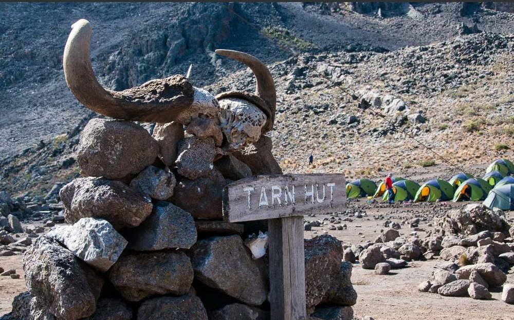 Image number 6 for 5-day Kilimanjaro Mountain Trekking-marangu Route