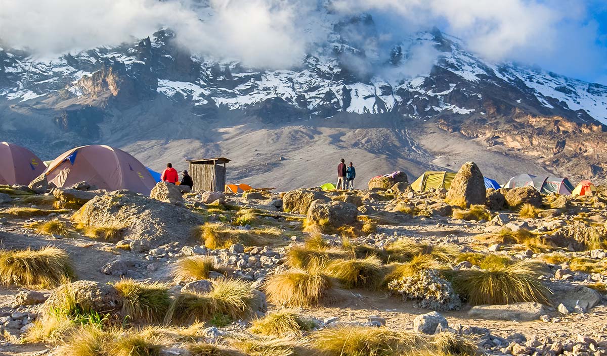 Image number 1 for Kilimanjaro Trek Lemosho Route 6day Trek 8day Tour