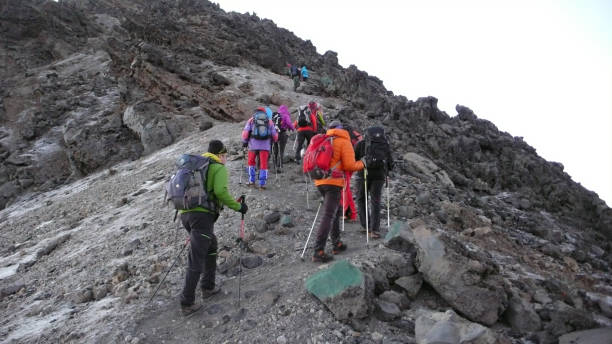 Image number 3 for Lemosho Route   - Kilimanjaro