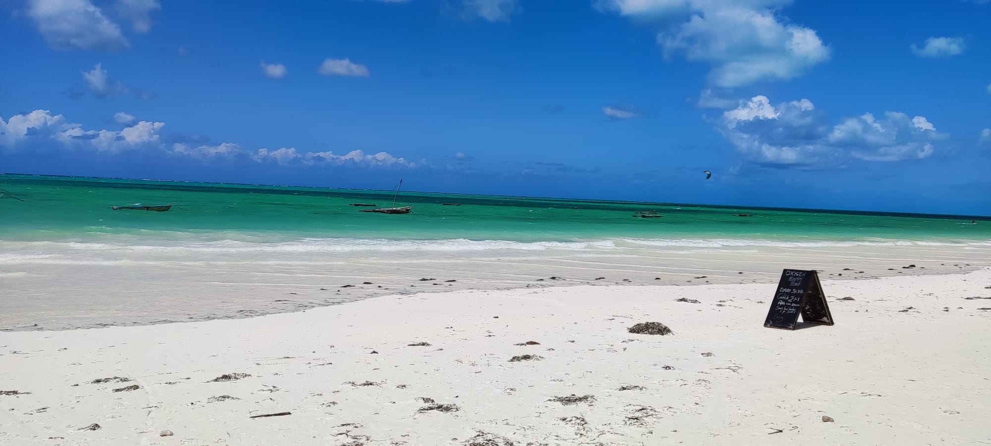Image number 2 for Zanzibar Day Trip