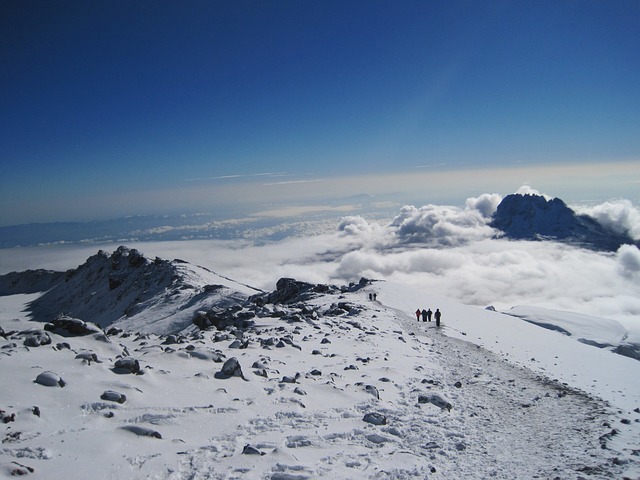 Image number 4 for 6 Days Kilimanjaro Climb Umbwe Route