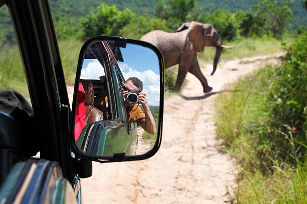 Image number 2 for Aventura En Tarangire Y Ngorongoro