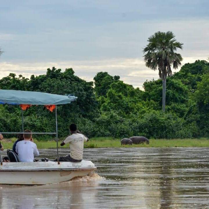 Image number 9 for Nyerere Np Plus Boat & Walking Safari