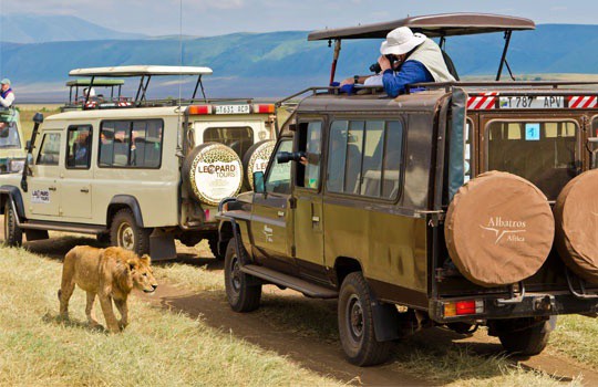 Image number 2 for 6 Days Serengeti Migration Safari