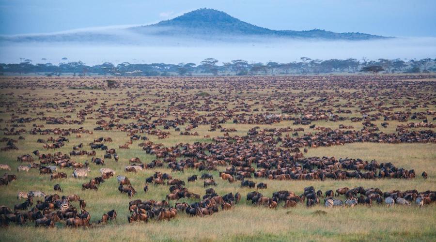 Image number 6 for Best 1 Day Ngorongoro Safari